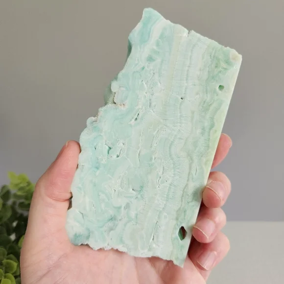 Caribbean calcite slab - Picture 3 of 13